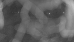 Areál koupaliště Holešov