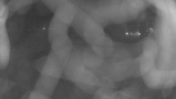 Areál koupaliště Holešov