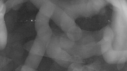 Areál koupaliště Holešov