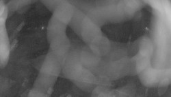 Areál koupaliště Holešov