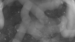 Areál koupaliště Holešov