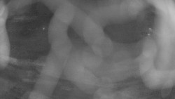 Areál koupaliště Holešov