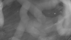 Areál koupaliště Holešov