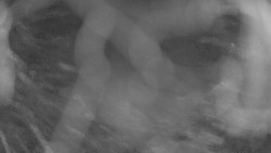 Areál koupaliště Holešov