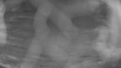 Areál koupaliště Holešov