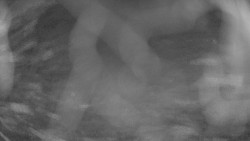 Areál koupaliště Holešov