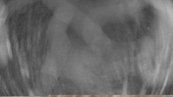 Areál koupaliště Holešov