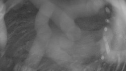 Areál koupaliště Holešov