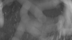 Areál koupaliště Holešov