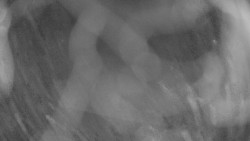 Areál koupaliště Holešov