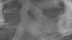 Areál koupaliště Holešov