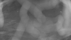 Areál koupaliště Holešov