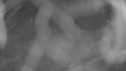 Areál koupaliště Holešov