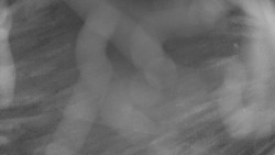 Areál koupaliště Holešov