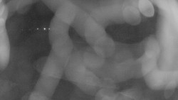 Areál koupaliště Holešov