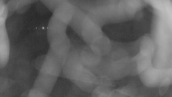 Areál koupaliště Holešov