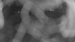 Areál koupaliště Holešov