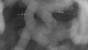 Zámecké koupaliště Holešov - Areál koupaliště Holešov - 25.12.2025 v 06:45 Zámecké koupaliště Holešov - Areál koupaliště Holešov - 25.12.2025 v 06:45