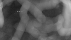 Areál koupaliště Holešov