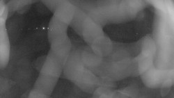 Areál koupaliště Holešov