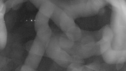 Areál koupaliště Holešov