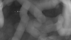 Areál koupaliště Holešov