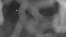 Areál koupaliště Holešov