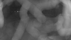 Areál koupaliště Holešov