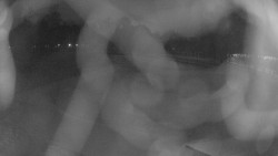 Areál koupaliště Holešov