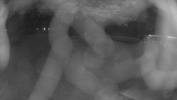 Areál koupaliště Holešov