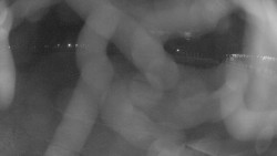 Areál koupaliště Holešov