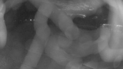 Areál koupaliště Holešov