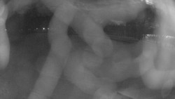 Areál koupaliště Holešov