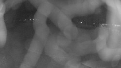 Areál koupaliště Holešov