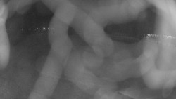 Areál koupaliště Holešov