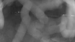 Areál koupaliště Holešov