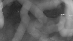 Areál koupaliště Holešov