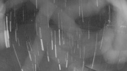 Areál koupaliště Holešov