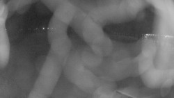 Areál koupaliště Holešov