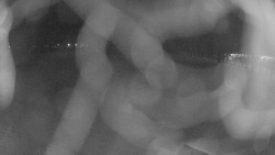 Areál koupaliště Holešov