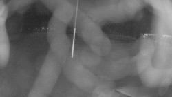 Areál koupaliště Holešov