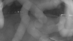 Areál koupaliště Holešov