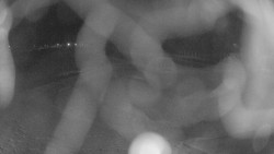 Areál koupaliště Holešov