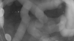 Areál koupaliště Holešov