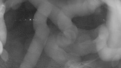 Areál koupaliště Holešov