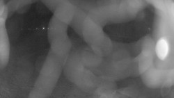 Areál koupaliště Holešov