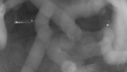 Areál koupaliště Holešov