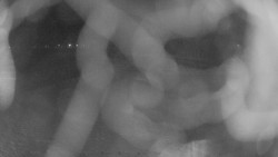 Areál koupaliště Holešov