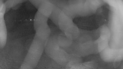 Areál koupaliště Holešov