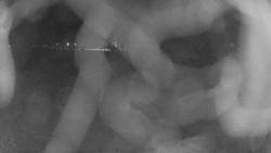 Areál koupaliště Holešov